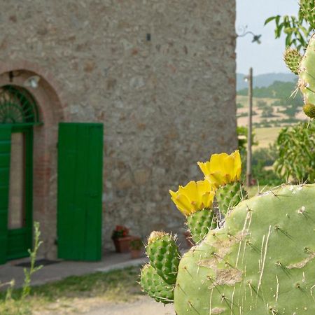 Agriturismo Casa Montecucco Giuncarico Exterior photo